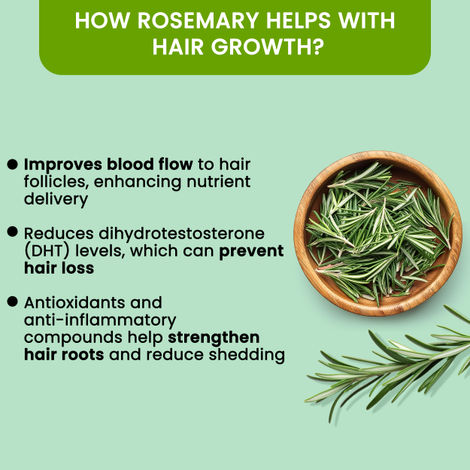 BUNEE Rosemary Hair Growth Serum Oil 30 ML